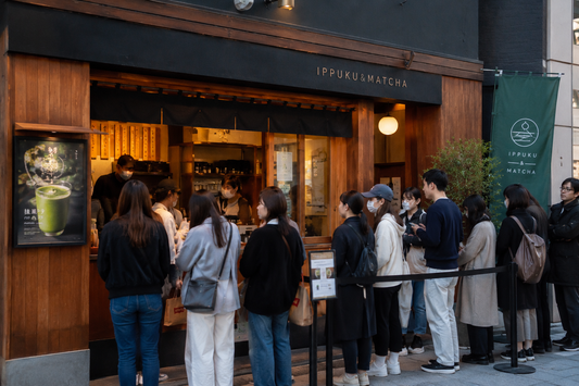Why has matcha become so popular?